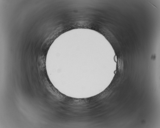 X0000113931107200911061213