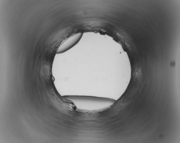 X0000113931108200911061213