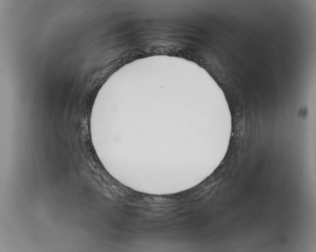 X0000113931109200911061213