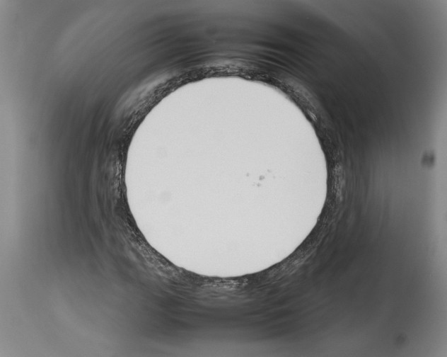 X0000113931111200911061213