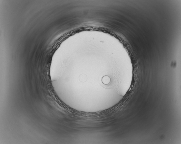 X0000113931112200911061213