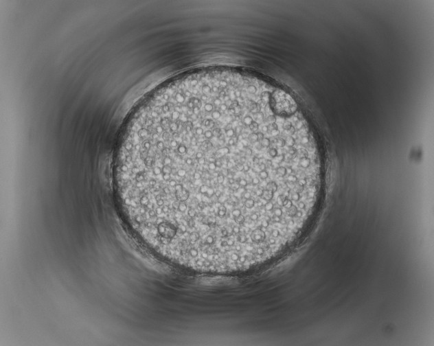 X0000113931113200911061213