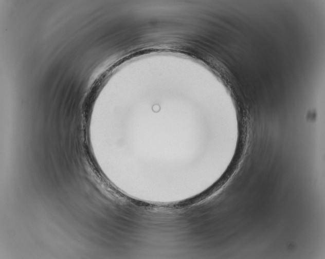X0000113931114200911061213