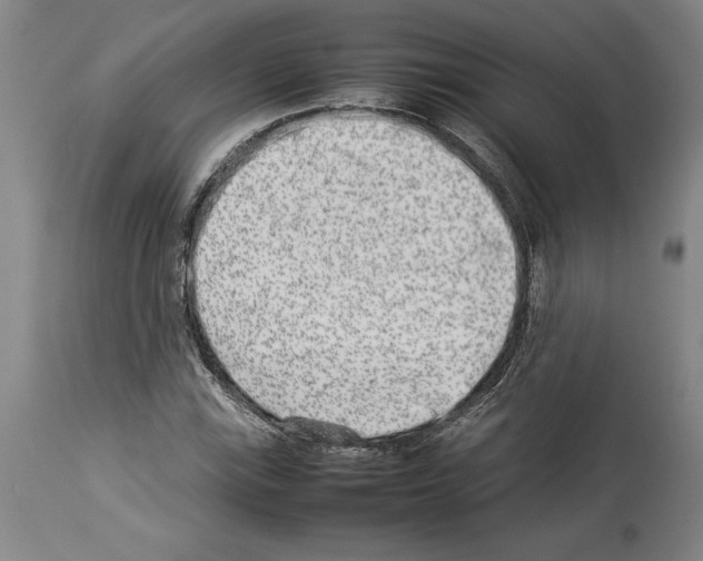 X0000113931115200911061213