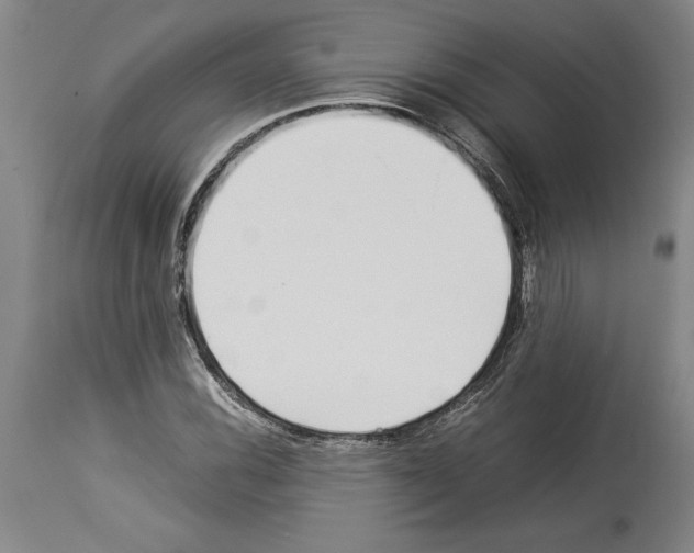X0000113931116200911061213