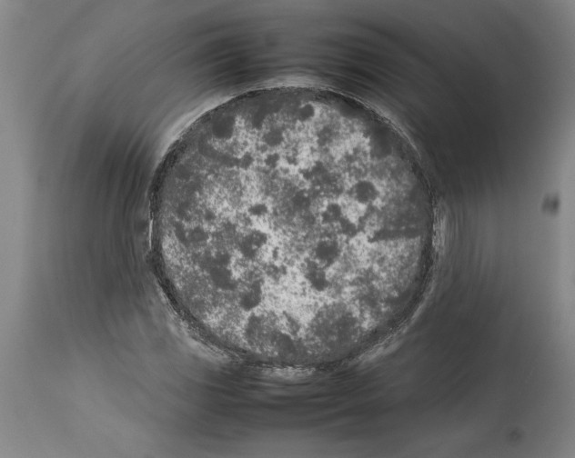 X0000113931117200911061213