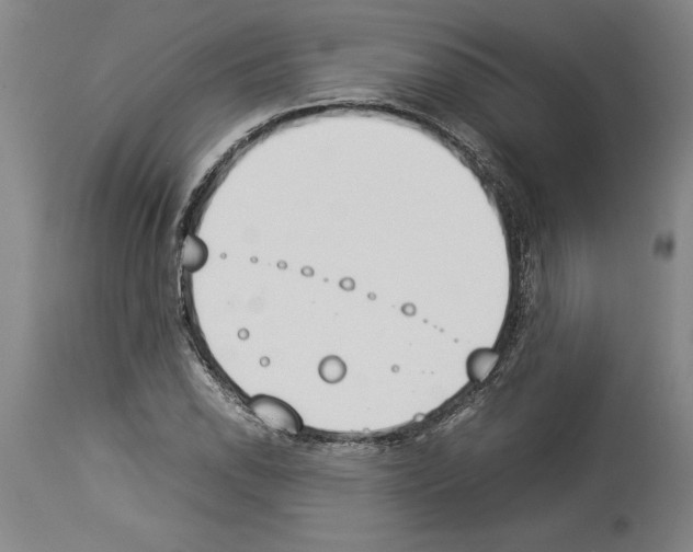 X0000113931118200911061213