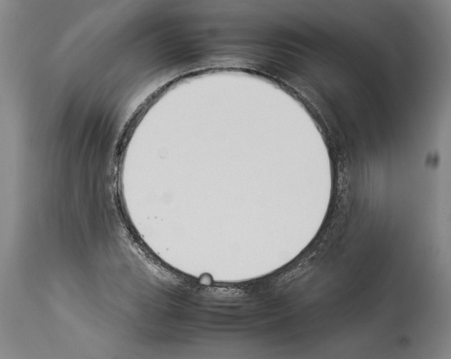 X0000113931119200911061213