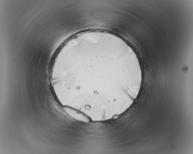 X0000113931120200911061213