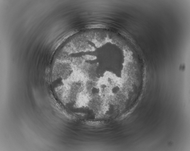 X0000113931121200911061213