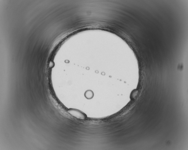 X0000113931122200911061213