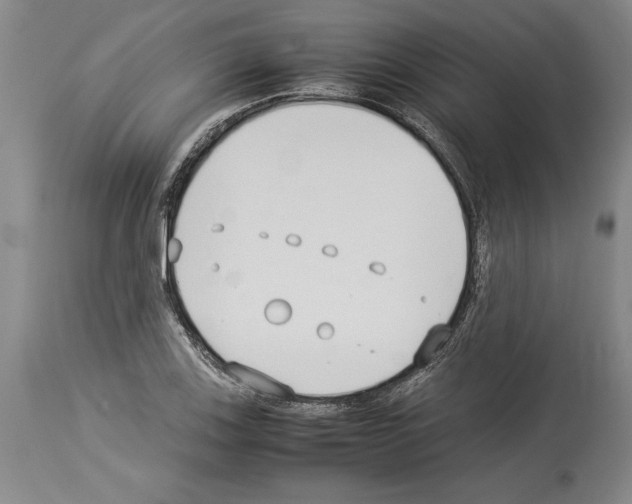X0000113931123200911061213
