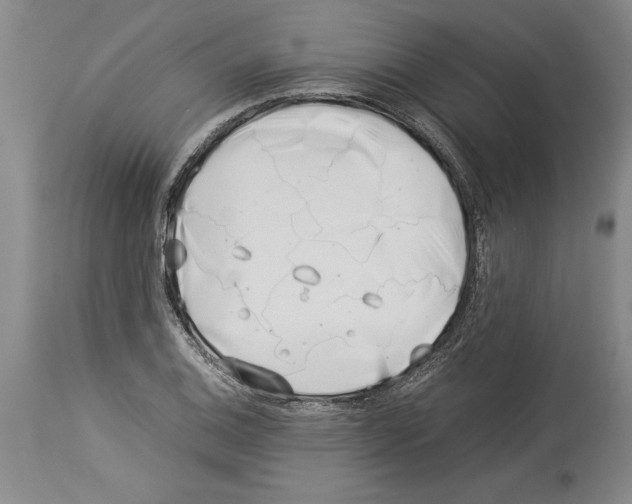 X0000113931124200911061213