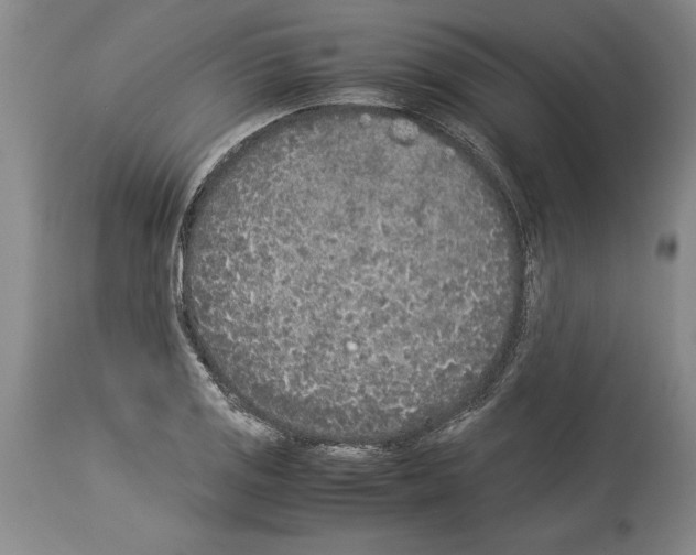 X0000113931125200911061213