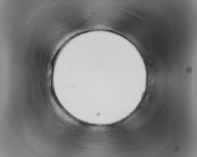 X0000113931126200911061213