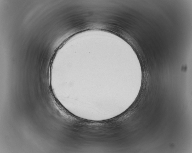 X0000113931127200911061213