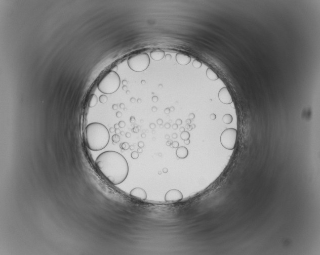 X0000113931130200911061213