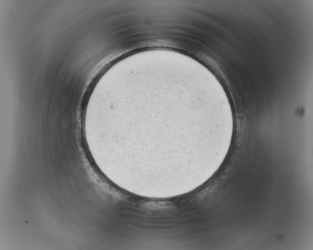 X0000113931133200911061213