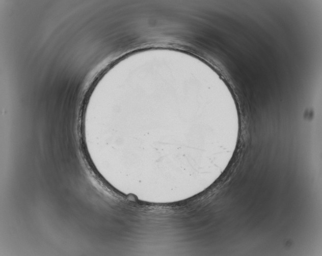 X0000113931136200911061213