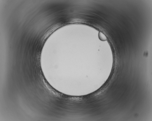 X0000113931137200911061213