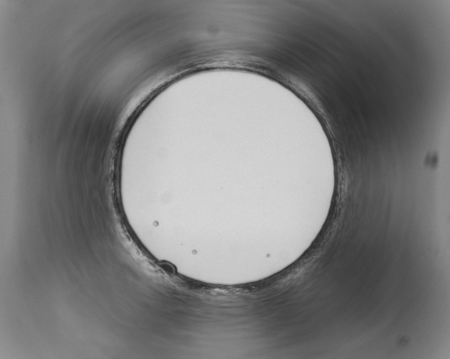 X0000113931138200911061213