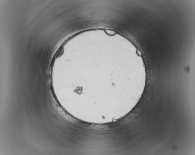 X0000113931140200911061213