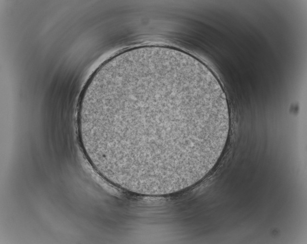 X0000113931142200911061213