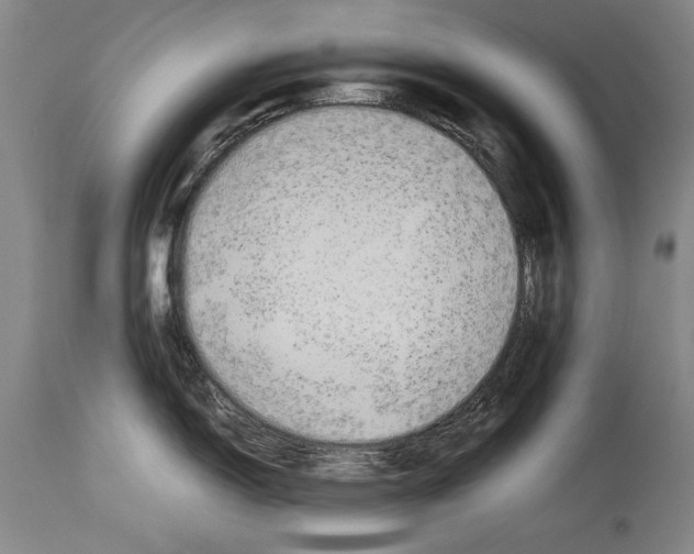 X0000113931150200911061213
