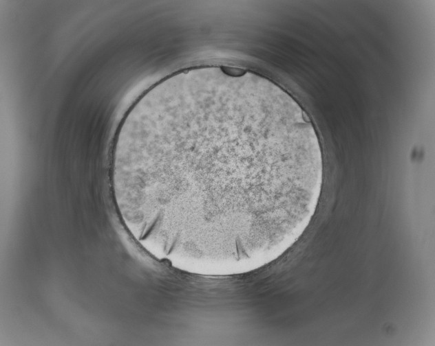 X0000113931152200911061213