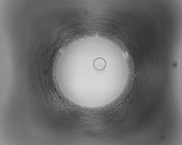 X0000113931153200911061213