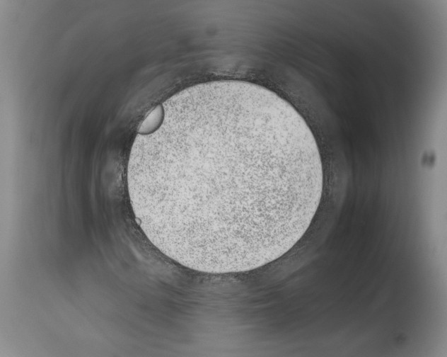 X0000113931154200911061213