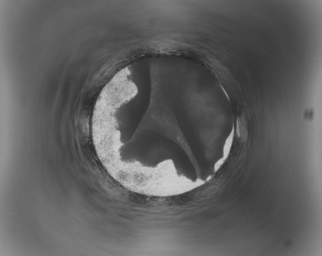 X0000113931155200911061213