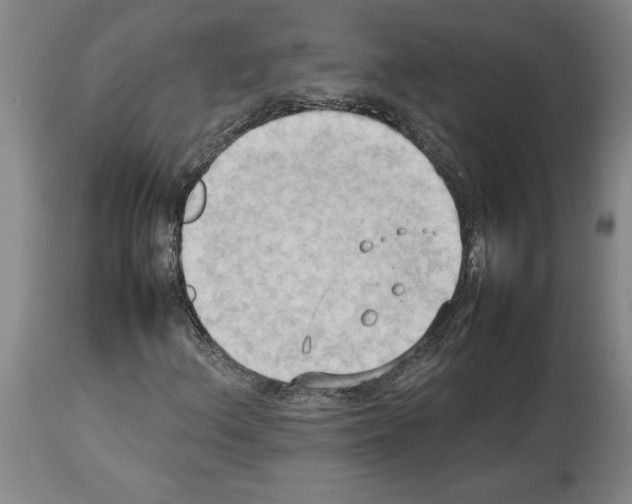 X0000113931156200911061213