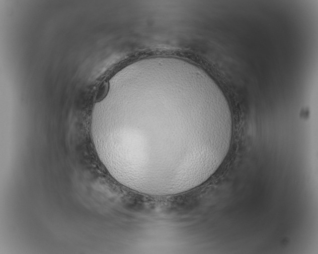 X0000113931157200911061213