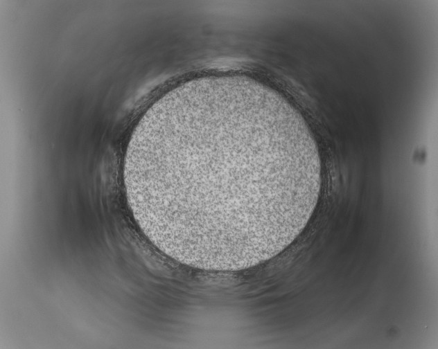X0000113931158200911061213