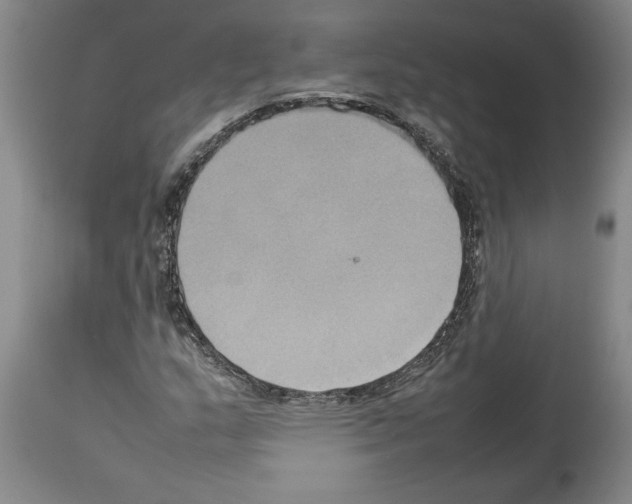 X0000113931159200911061213