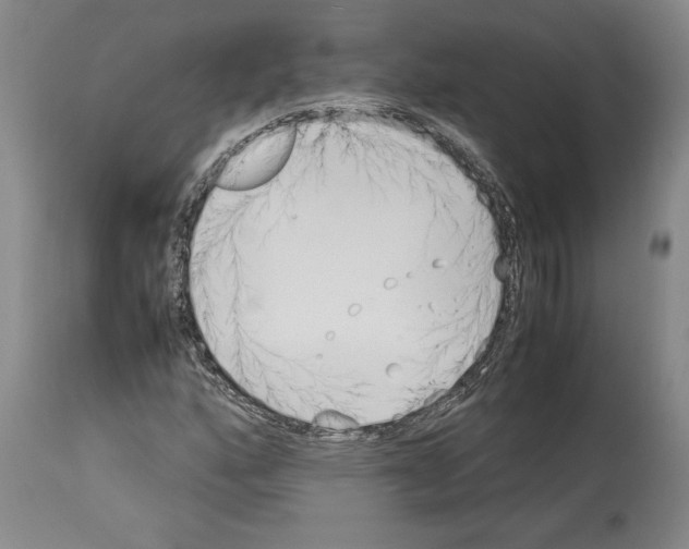 X0000113931160200911061213