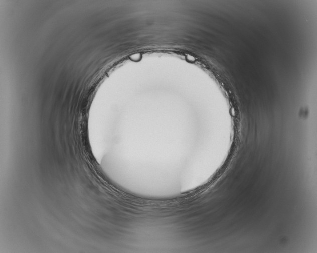 X0000113931161200911061213