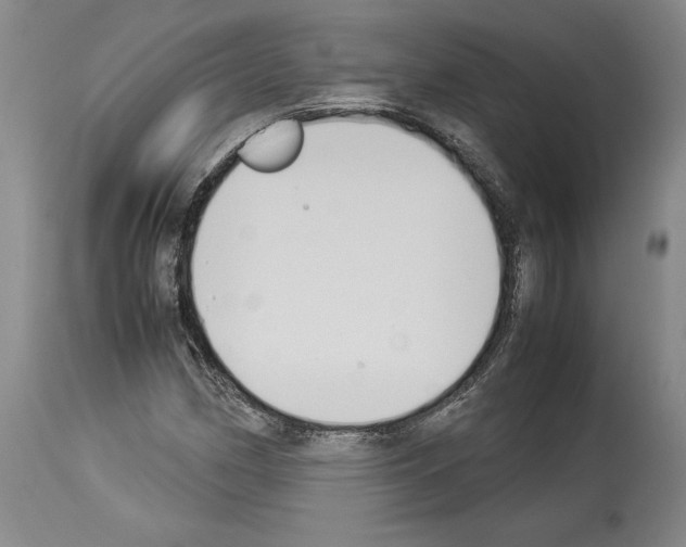 X0000113931162200911061213