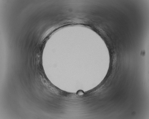 X0000113931163200911061213