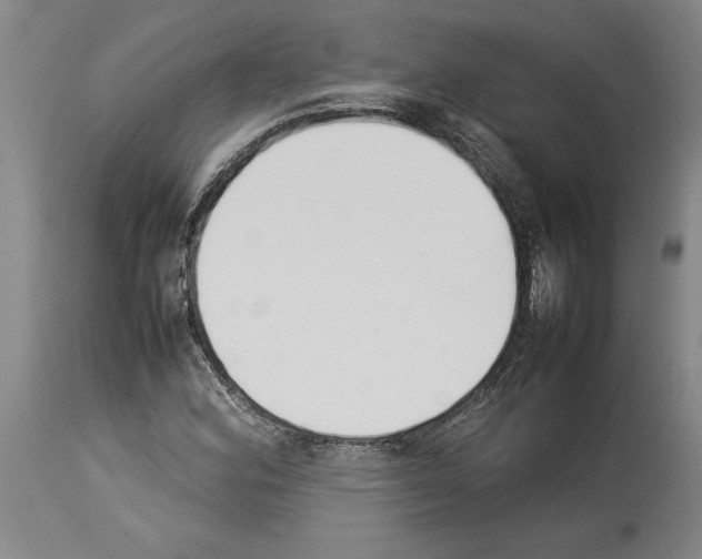 X0000113931164200911061213