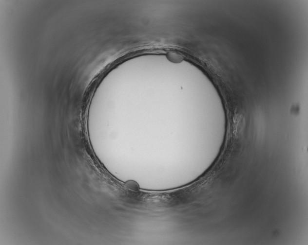 X0000113931165200911061213