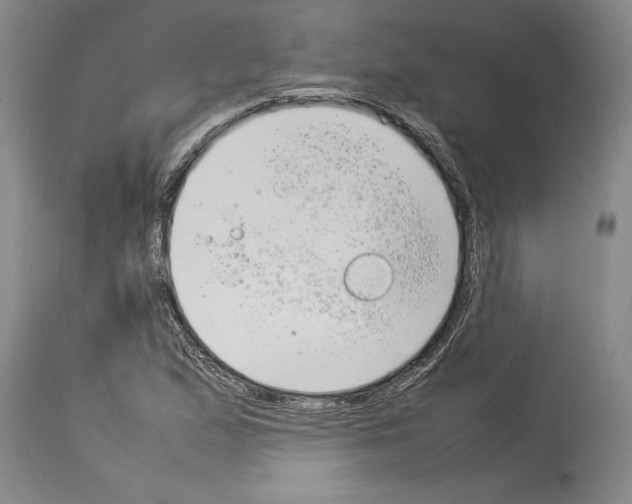 X0000113931167200911061213