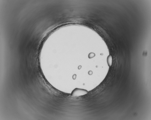 X0000113931168200911061213