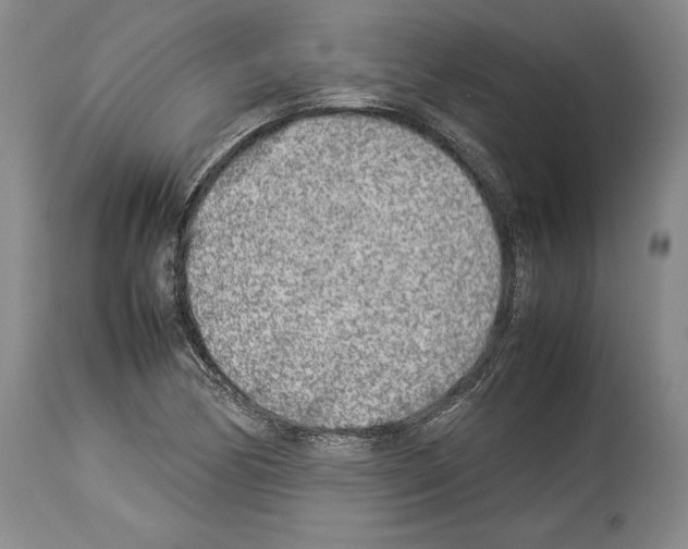 X0000113931170200911061213