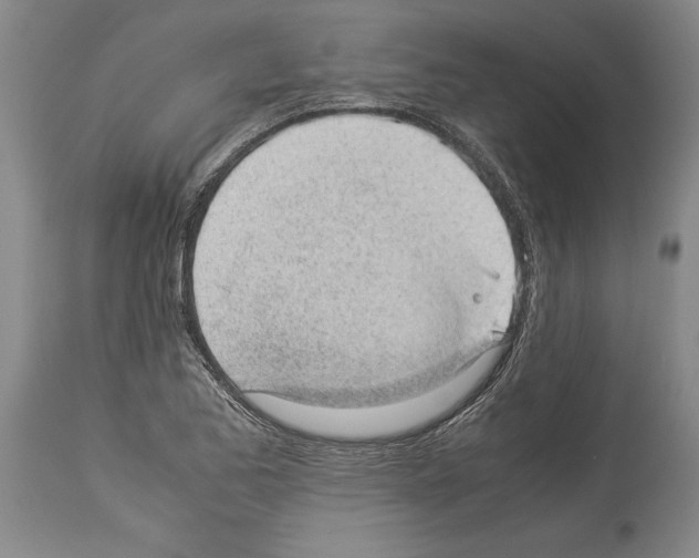 X0000113931173200911061212