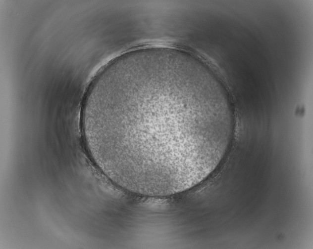 X0000113931174200911061212