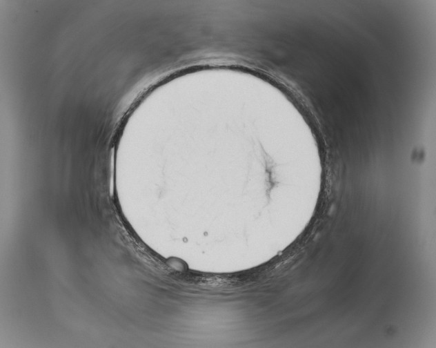 X0000113931175200911061212