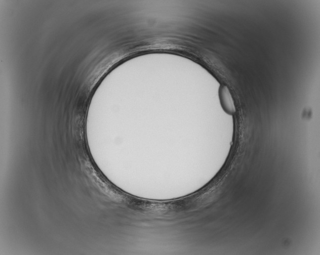 X0000113931177200911061212
