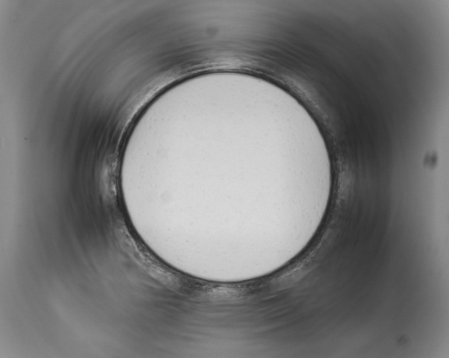 X0000113931178200911061212